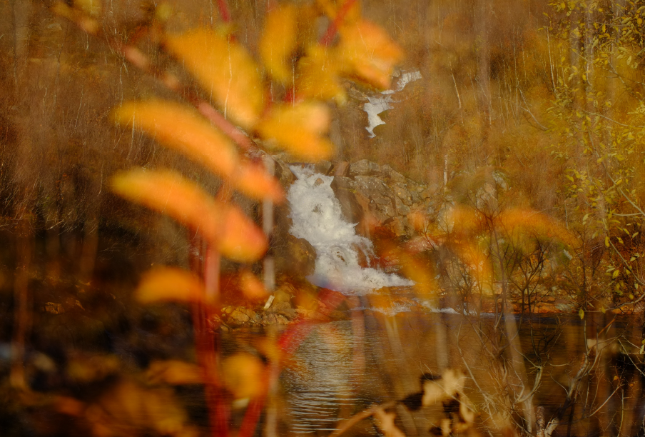 Autumn Colours – Jacob Beard