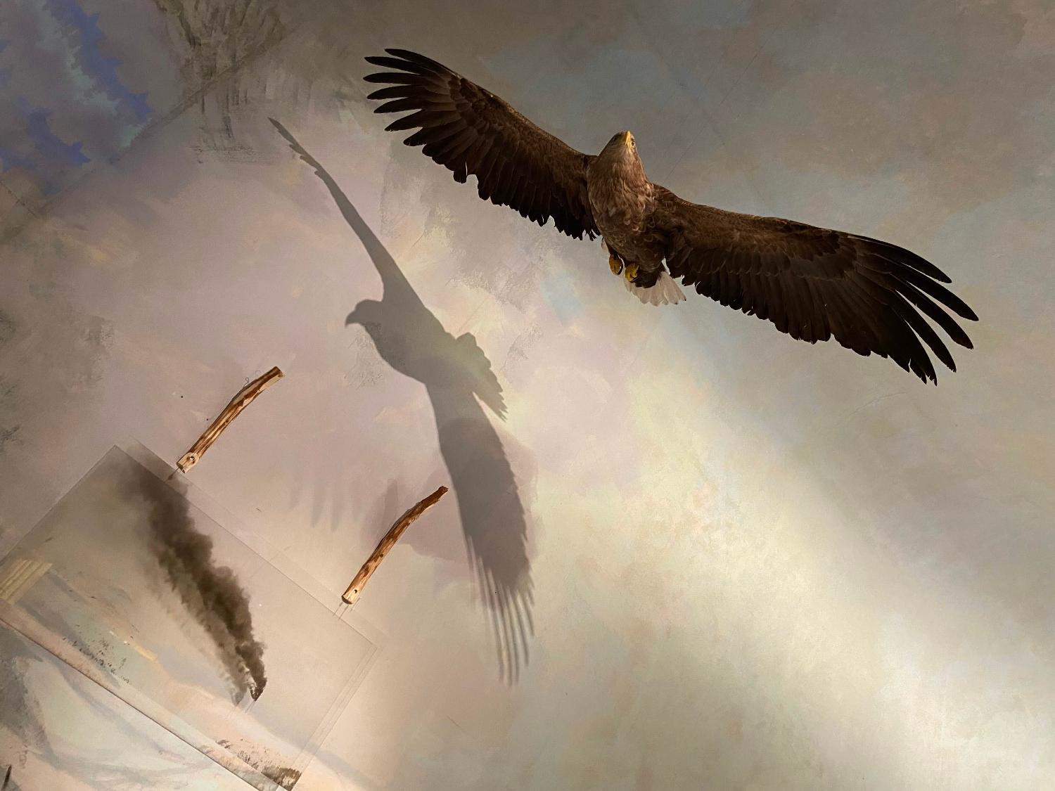 Illustrasjons-/bannerbilde for UNESCO Biosphere reserves in Norway - status and future strategy