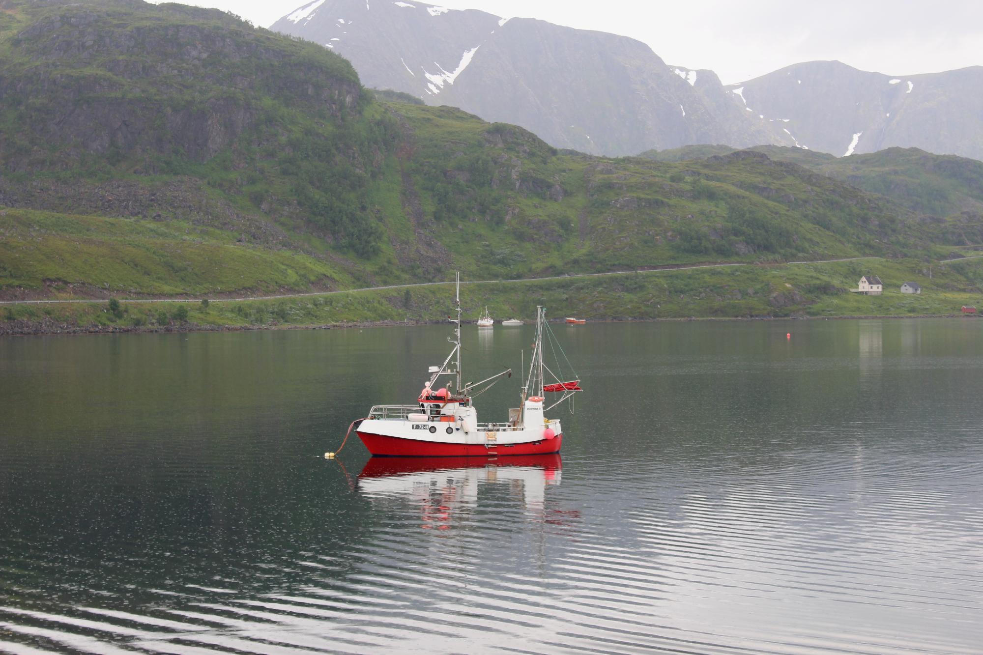 Illustrasjons-/bannerbilde for Nordlig mangfold i en bærekraftig utdanning  NABU - Konferansen 2025  