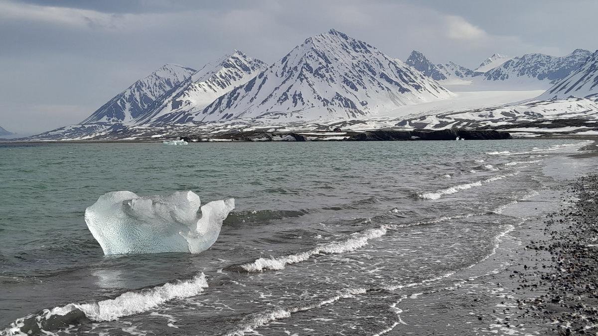 En fjord med en isklump og sm&aring; b&oslash;lger som sl&aring;r inn mot land. I bakgrunnen sn&oslash;dekte fjell.