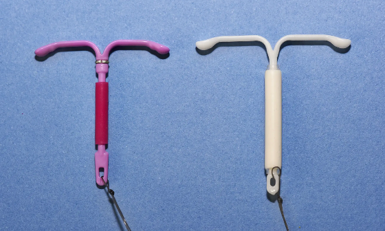 Foto: Science Photo Library