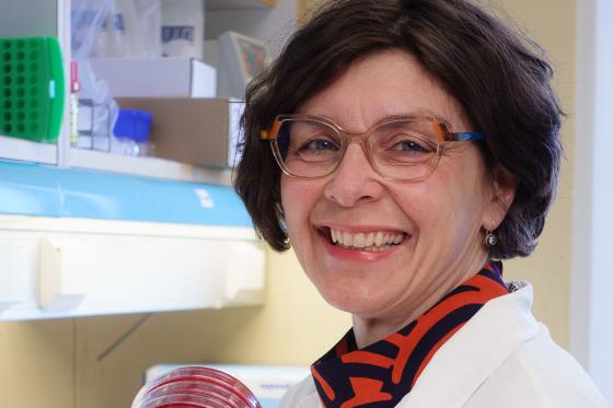 jorunn pauline cavanagh 160424_crop.jpg