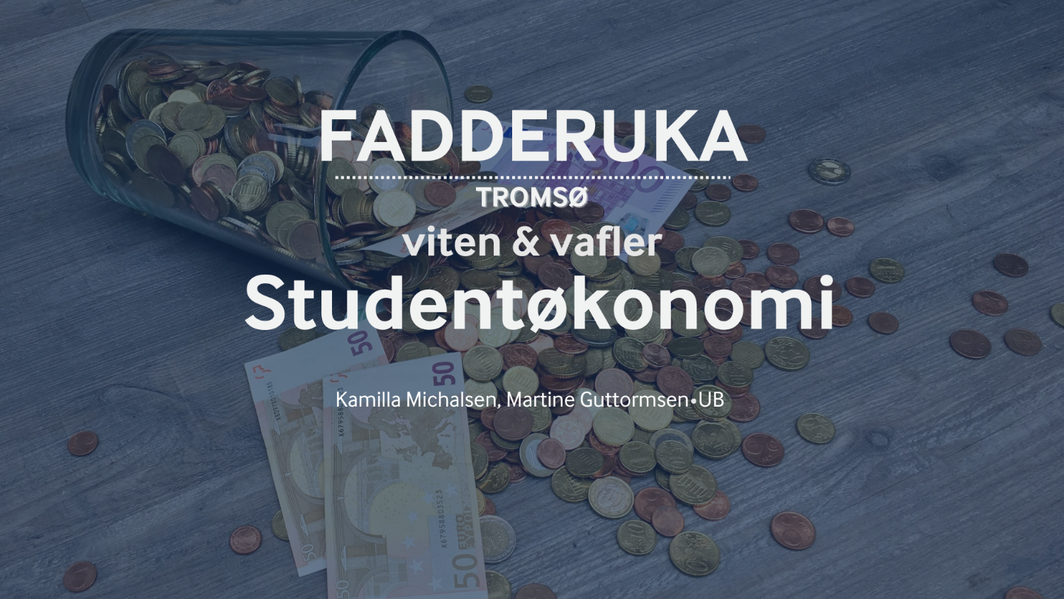 Illustrasjons-/bannerbilde for Viten & vafler: Student&oslash;konomi