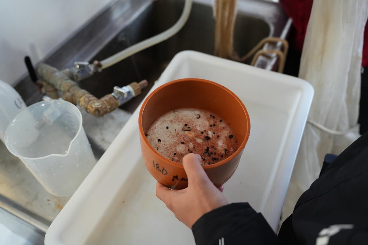 Zooplankton in a little box