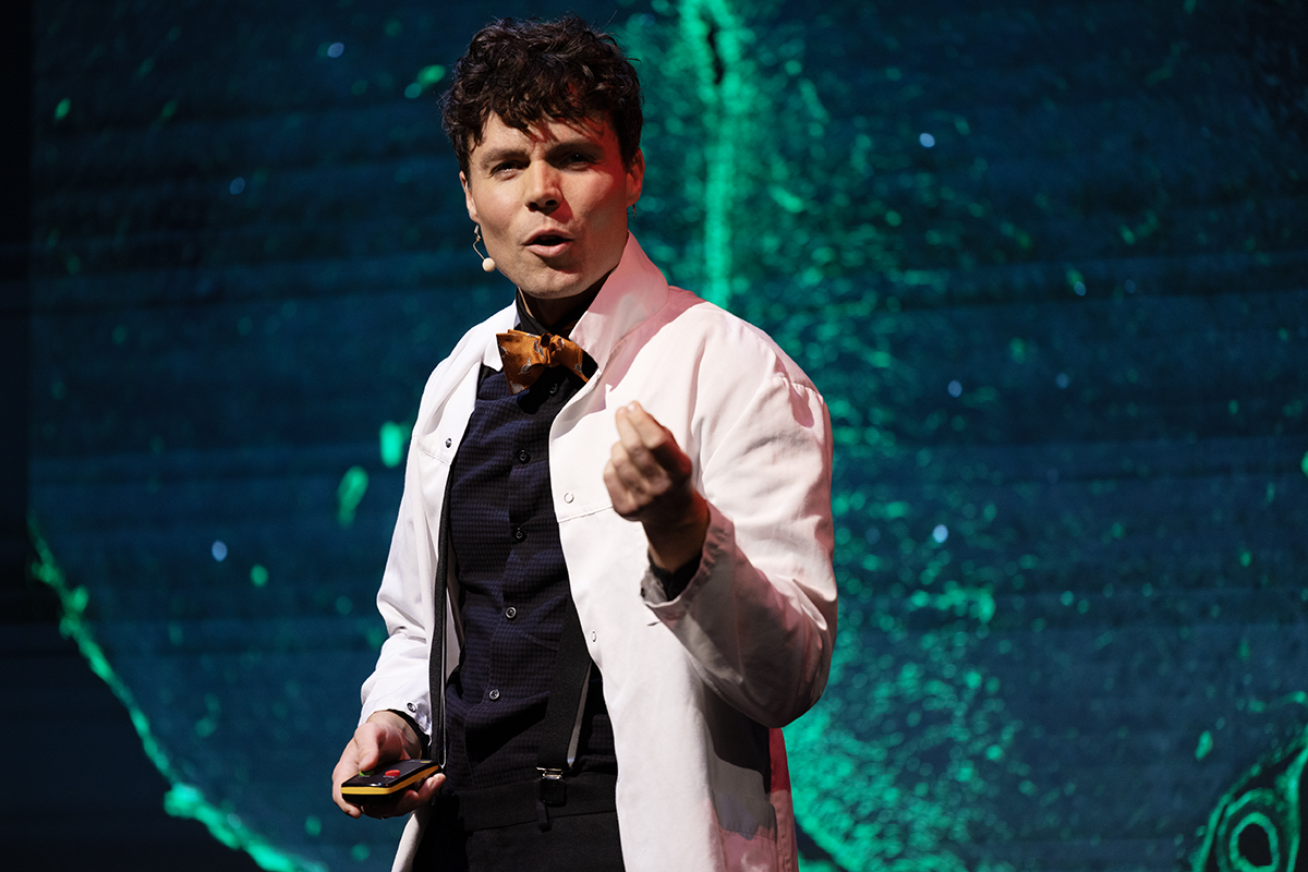 Hjernen, dvale og/eller vitsen med forskning?