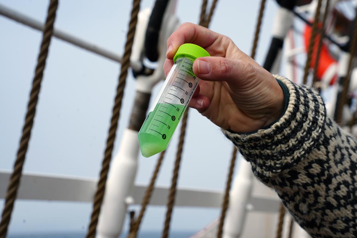 Etter noen minutter har deltakerne fått en DNA-prøve.