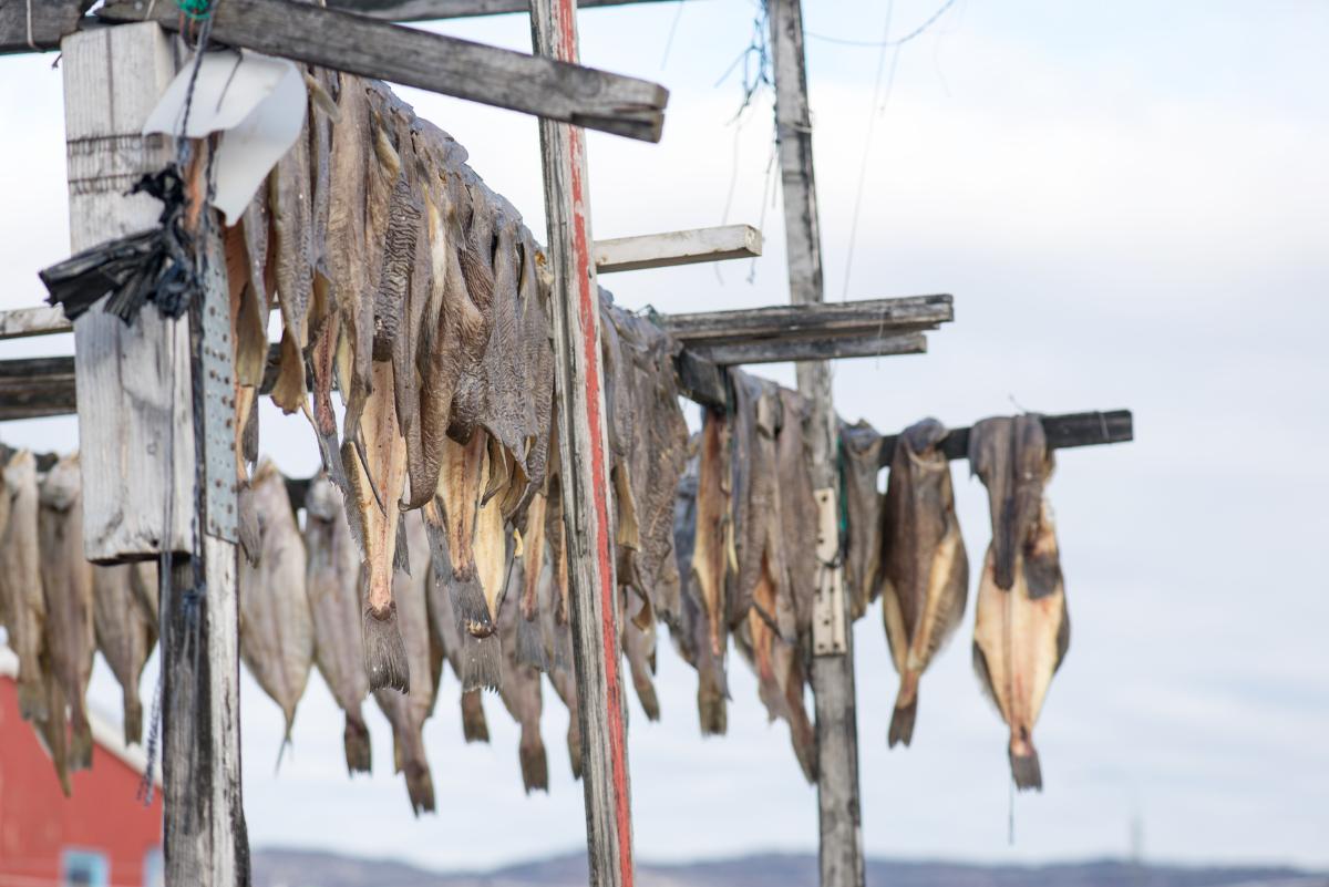 Dried fish hanging