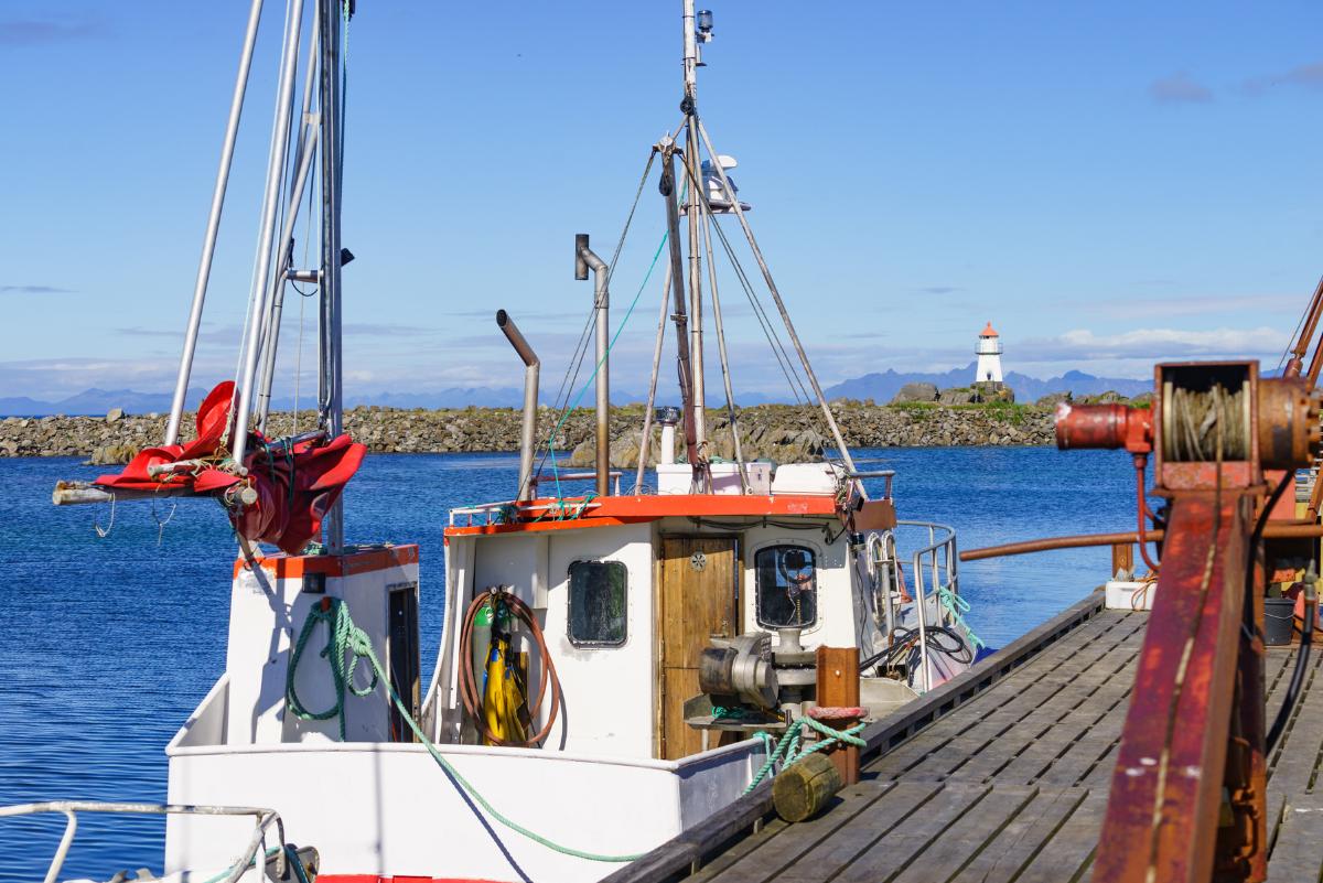 Fiskebåt til kai
