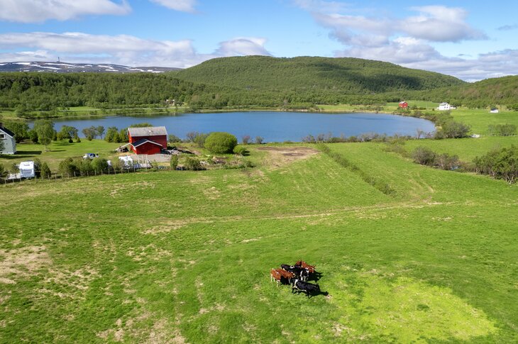 Gårdsbruk i Sør-Varanger