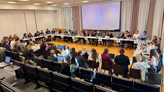 model nato NAC session.jpg