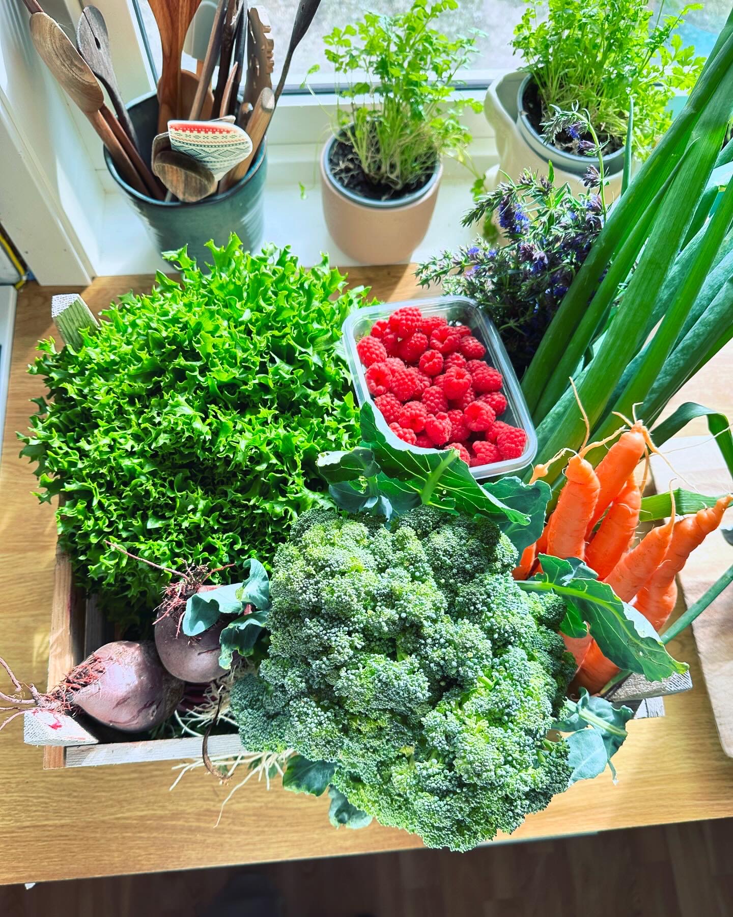 trekasse med masse fargerike grønnsaker