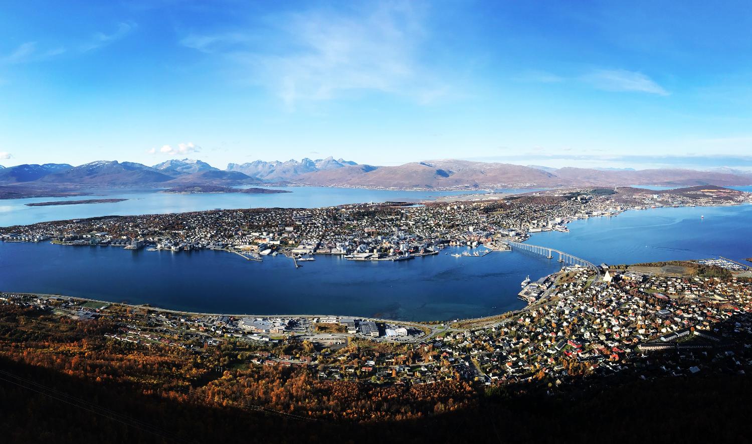 Illustrasjons-/bannerbilde for &ldquo;Working in the Arctic&rdquo;