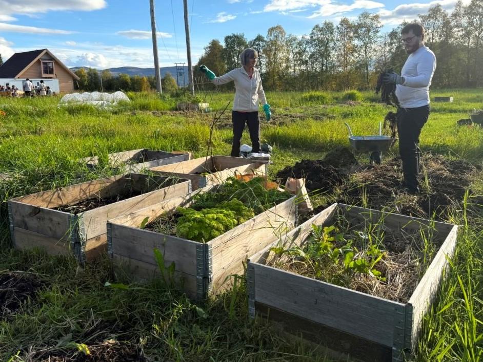 Innhøsting i folkehagen