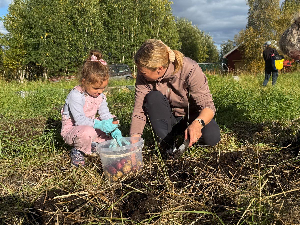 Eva Linn G. Skjæret plukker poteter sammen med sin guddatter. 