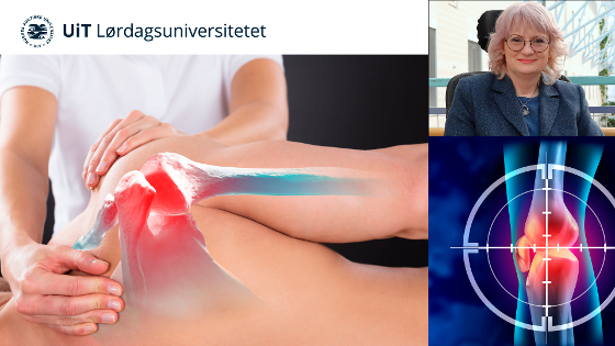 Illustrasjonsbilde for Lørdagsuniversitetet: Smertebehandling uten piller: Manuelle terapier i vitenskapens lys 