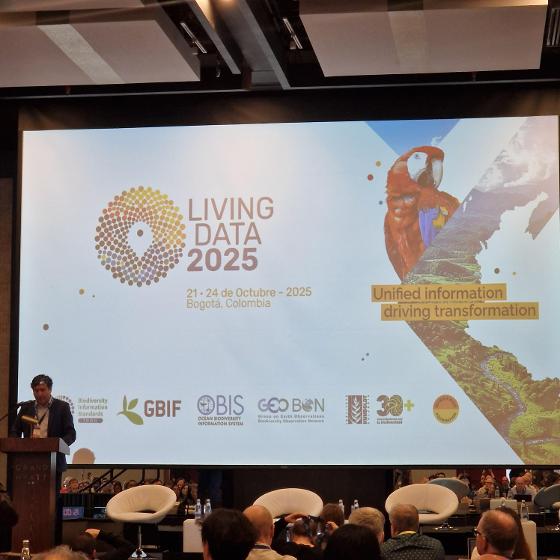Living data 2025_3