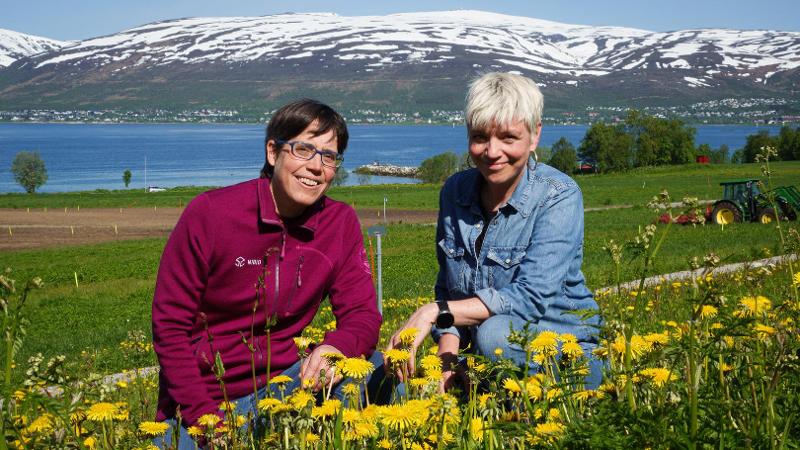 two women sitting in a meadow of dandylions