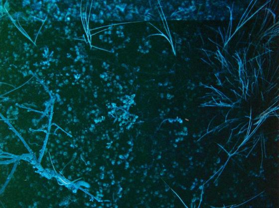 Illustrasjonsbilde for Environmental humanities gathering #61: Planning session 