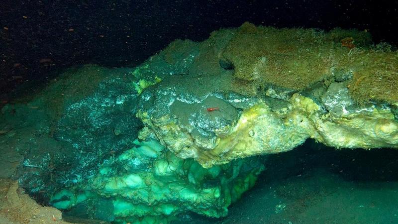 a large mound on the sea floor