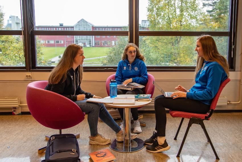 Lektor i realfag trinn 8-13 - master