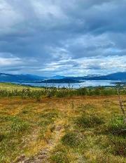 Bilde VIN&VITEN | Samisk kultur og kampen for ivaretagelse av natur: Rávdnjevággi/Finnheia - et presset landskapsrom