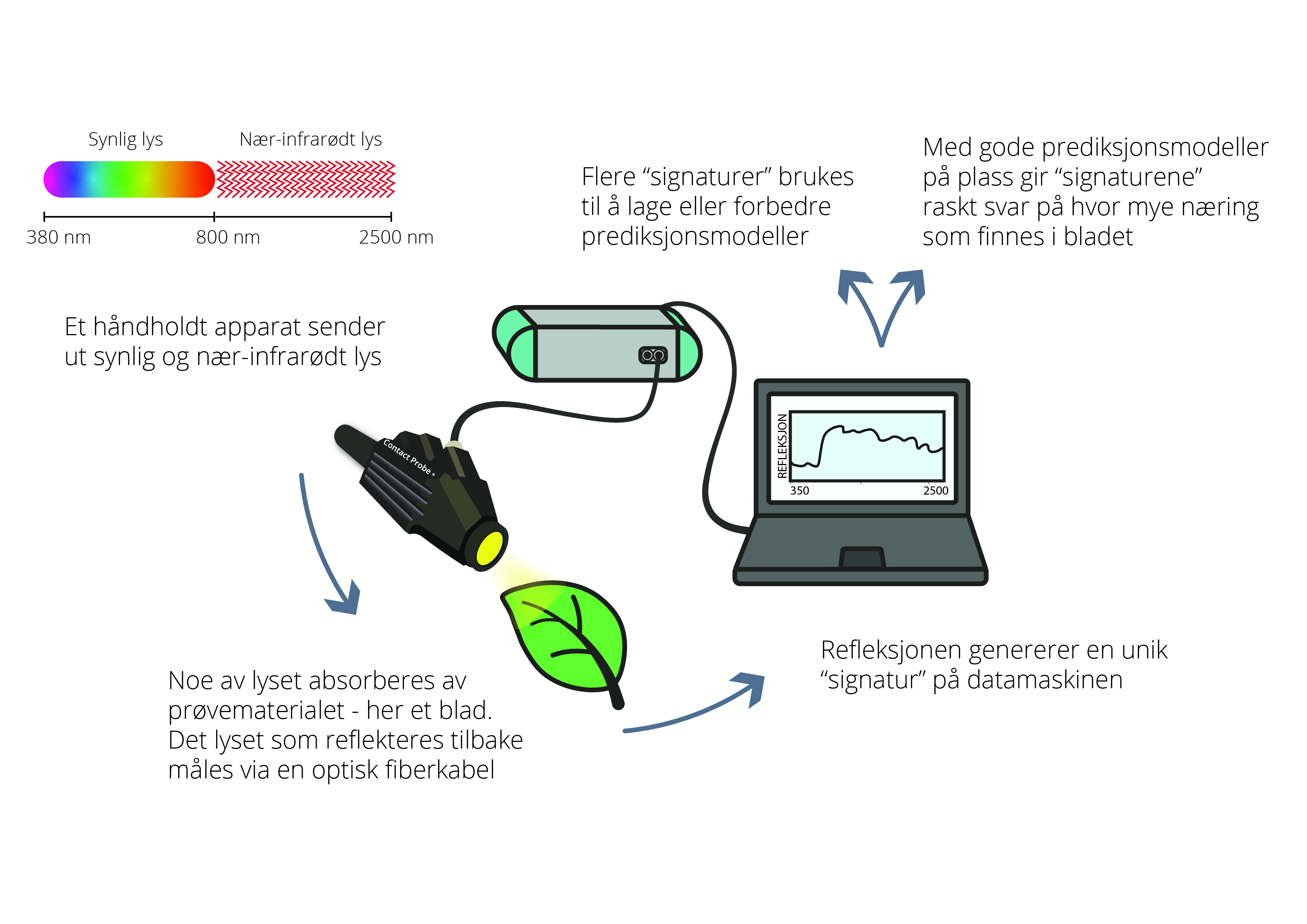 figur med datamaskin og gr&oslash;nt blad og lommelykt