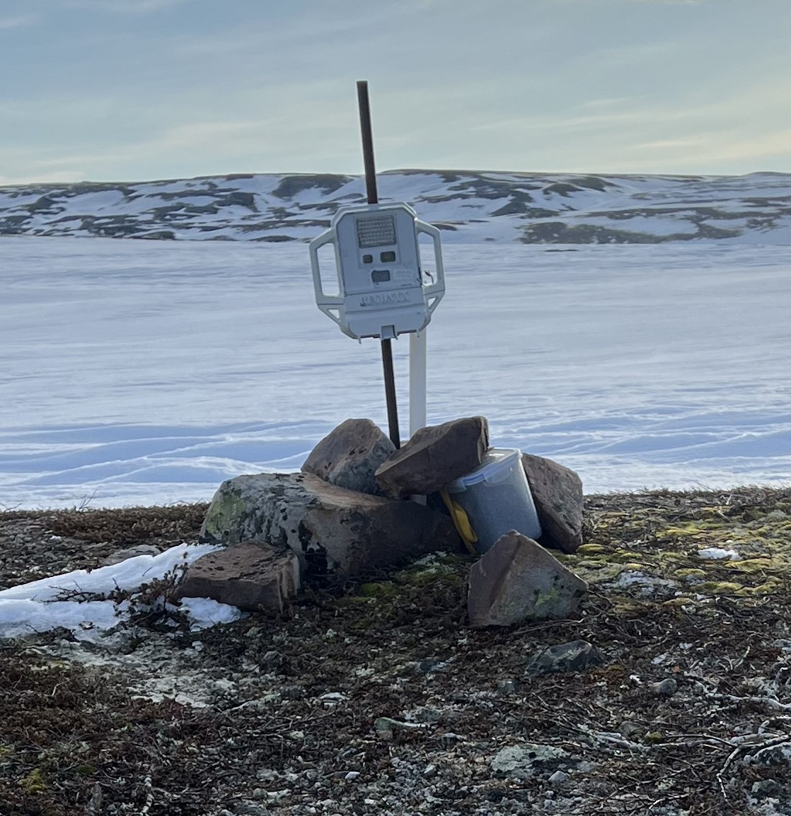 viltkamera p&aring; en p&aring;le