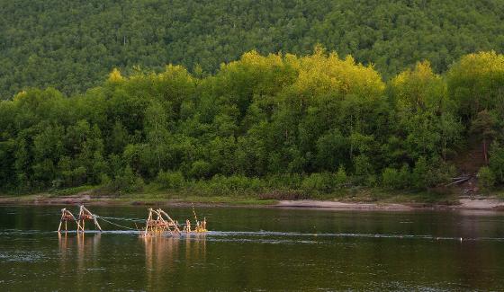 Illustrasjonsbilde for Vin&Viten | Inclusion of Sami Knowledge in Salmon Research and Governance