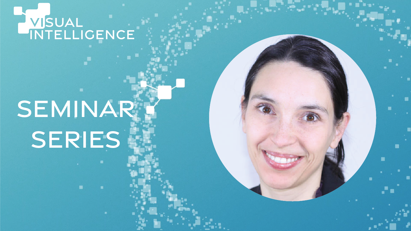 Illustrasjons-/bannerbilde for Visual Intelligence Seminar: Towards Robust and Reliable Computer Vision Models