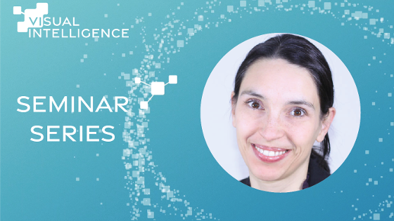 Illustrasjonsbilde for Visual Intelligence Seminar: Towards Robust and Reliable Computer Vision Models