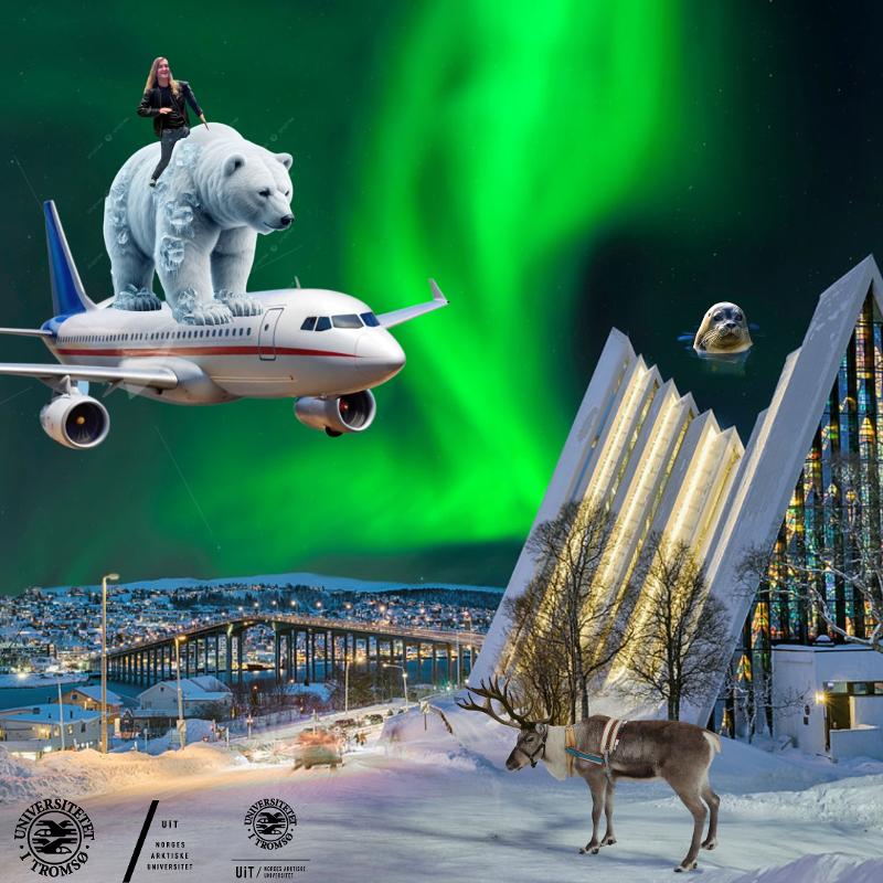 Bilde av et fly som flyr over Ishavskatedralen i nordlys med en isbj&oslash;rn og en student p&aring; taket