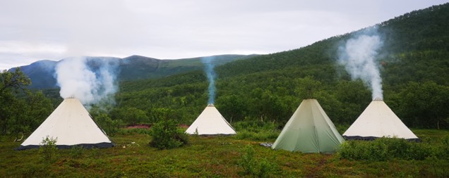 fire lavvuer p&aring; rad 