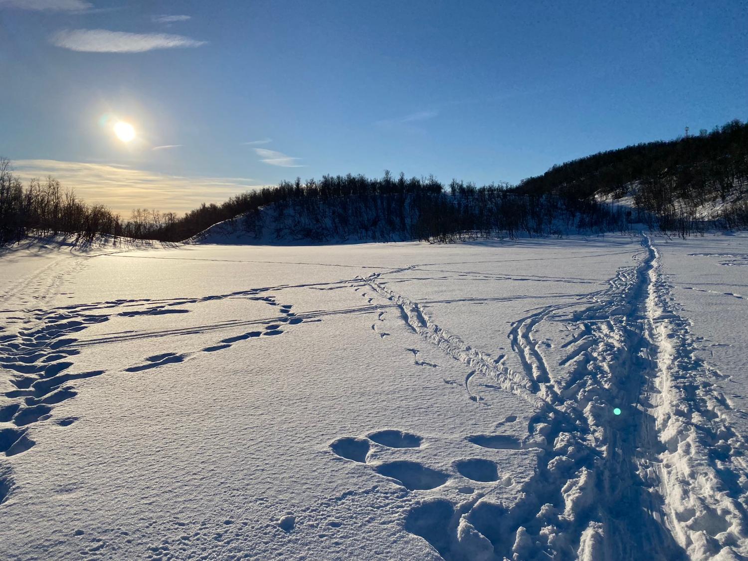 Illustrasjons-/bannerbilde for Skal naturen selges til turister? -Sosiologpils med Brynhild Gran&aring;s