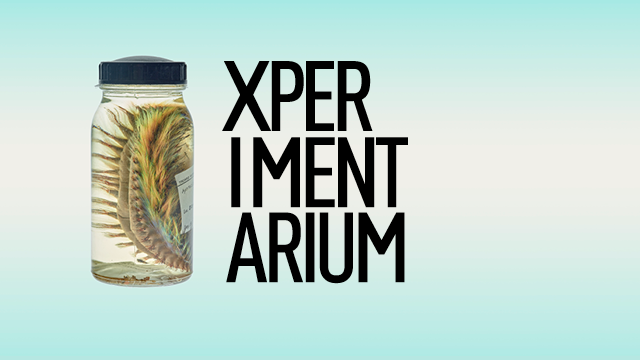 Image Xperimentarium