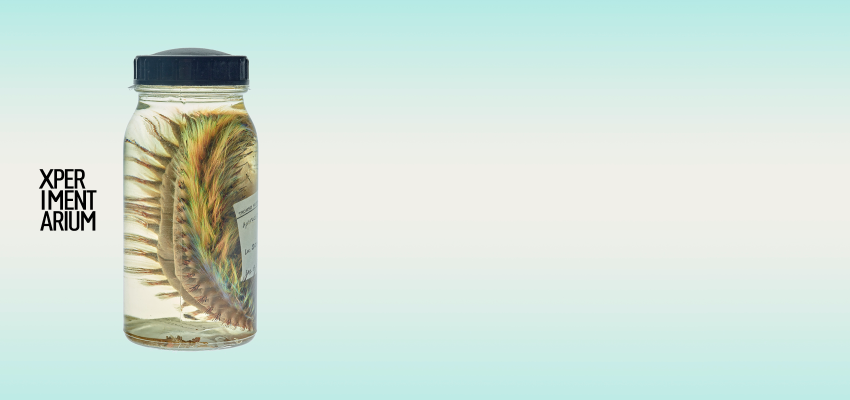 Image Xperimentarium