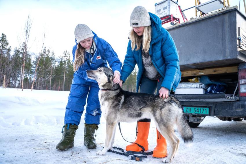 Lena Aarekol sammen med veterin&aelig;r og en husky