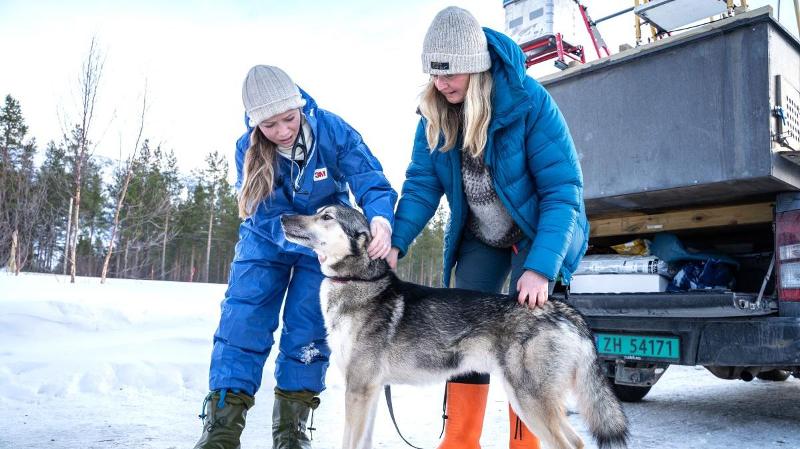 To damer og en husky