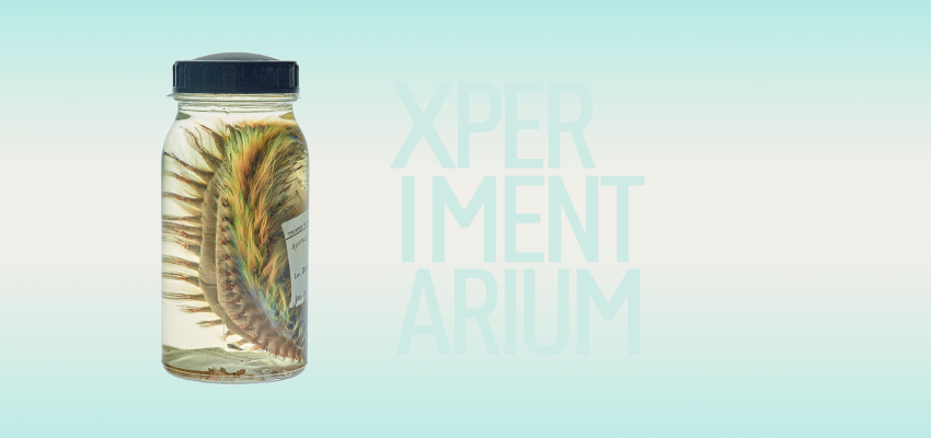 Image Xperimentarium