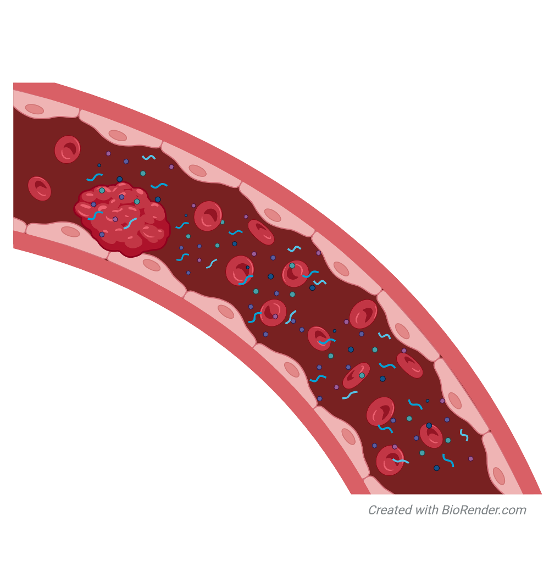 Proteins in plasma_smal.png