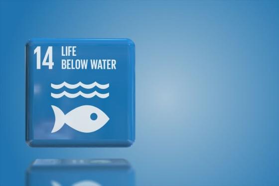 Illustrasjonsbilde for E-konferanse om FNs bærekraftsmål – Mål 14: Livet under vann / E-Conference on the Sustainable Development Goals – Goal 14: Life Below Water