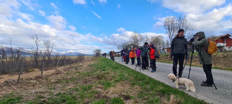 Illustrasjons-/bannerbilde for Guidet fugletur på Tisnes med BirdLife Tromsø