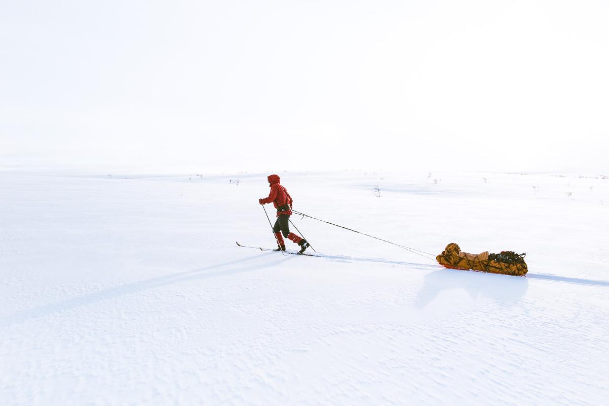 Skig&aring;er p&aring; Finnmarksvidda. 