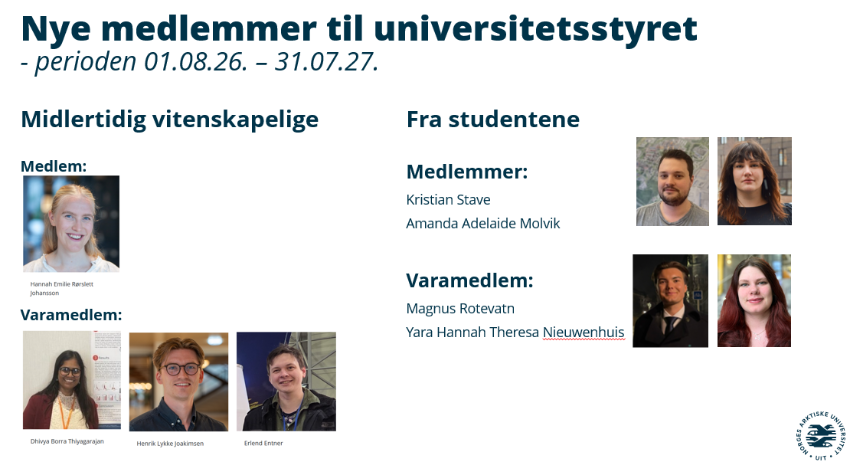 Bildekollasj av flere personer