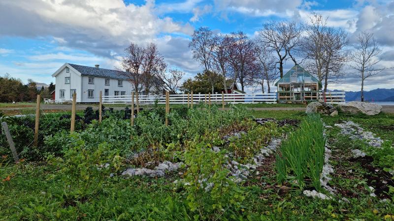 en gr&oslash;nn hage med et hvitt stort hus bak