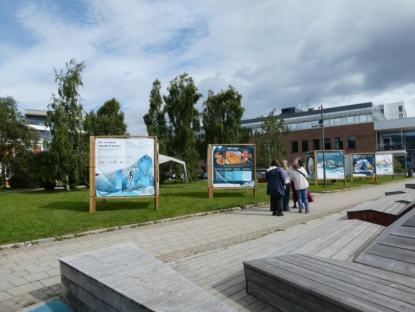 Et oversiktsbilde som viser en utstilling i en park. Noen personer som står og ser på en av kunstelementene. 