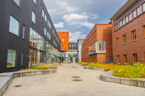 The Human University in a Digital Age