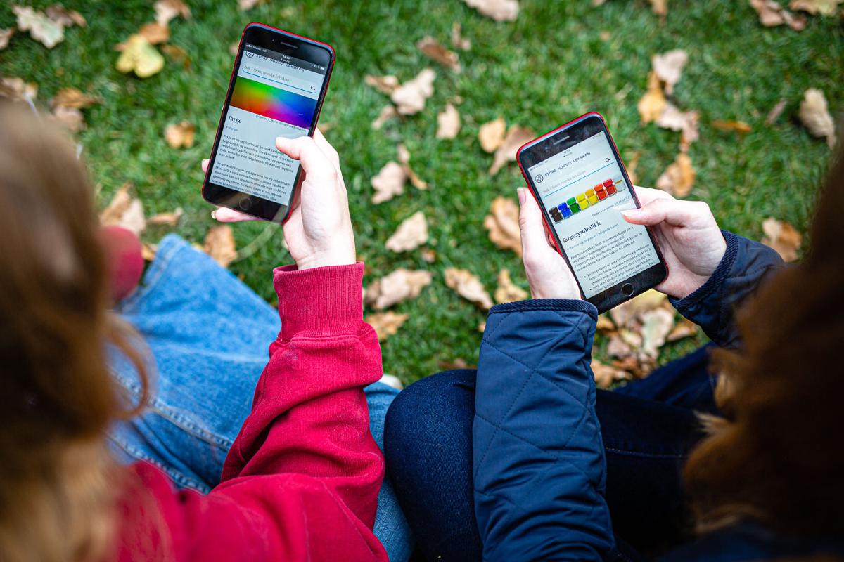 To personer leser p&aring; hver sin telefonskjerm