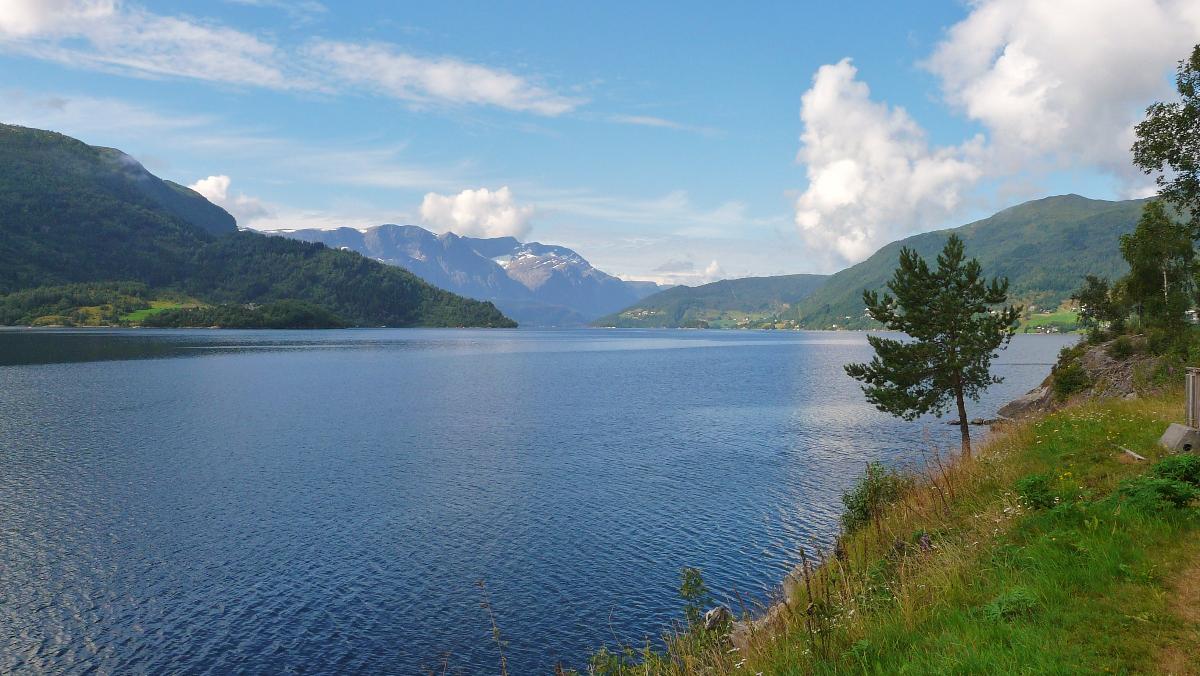 Naturfoto, bilde av F&oslash;rdefjorden
