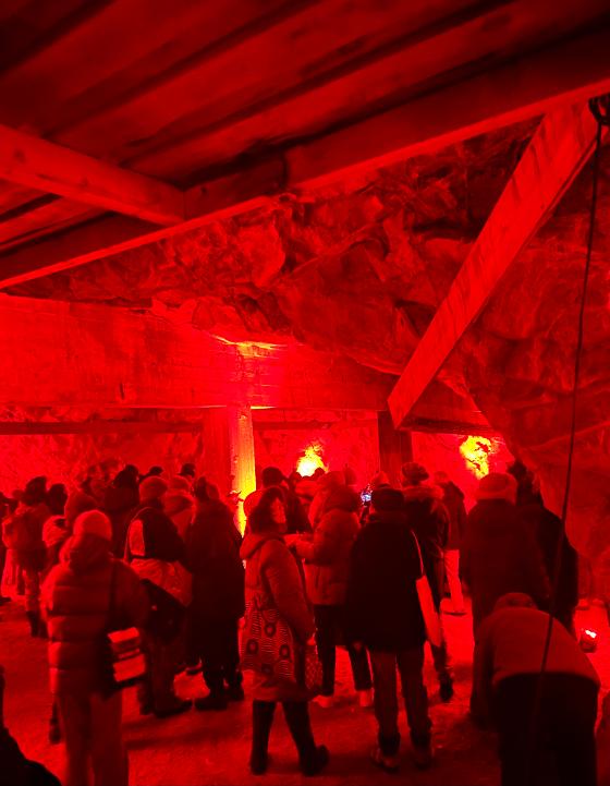 ArcHum Research Seminar: Kunstbiennaler i nord - øvelser i beredskap