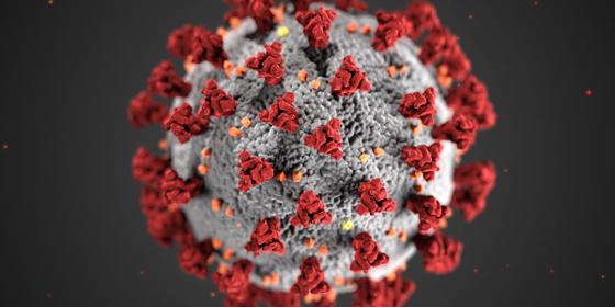 Zoonosis as a Problem for Science, Governance and Empire